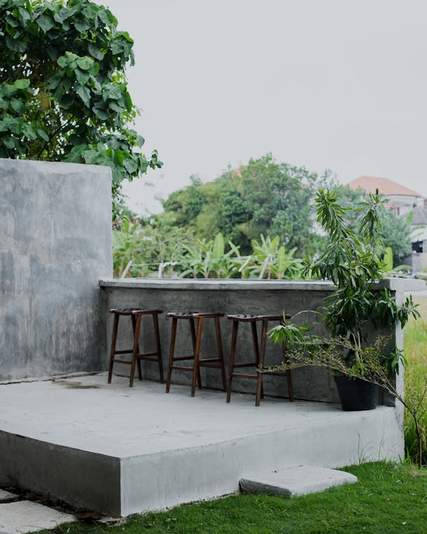 free-photo-of-ete-jardin-cafe-plantes
